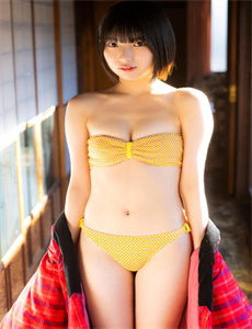 触不可及美版